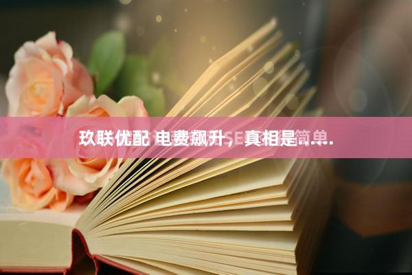 玖联优配 电费飙升，真相是......