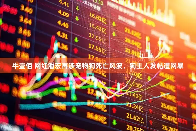 牛壹佰 网红潘宏再涉宠物狗死亡风波，狗主人发帖遭网暴