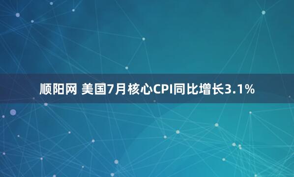 顺阳网 美国7月核心CPI同比增长3.1%