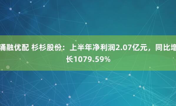涌融优配 杉杉股份：上半年净利润2.07亿元，同比增长1079.59%